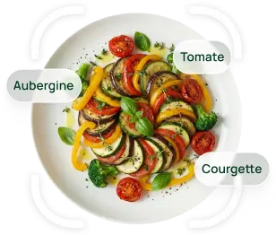 A plate of ratatouille being recognised by the app